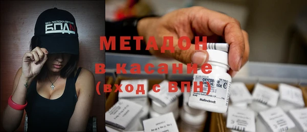 крисы Абаза