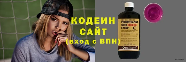 крисы Абаза