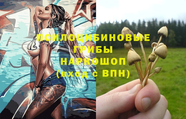 крисы Абаза