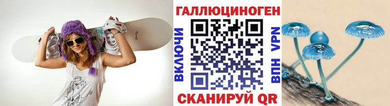 Псилоцибиновые грибы Psilocybine cubensis  Правдинск 